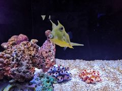 -上海海洋水族馆