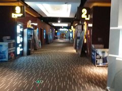 -万达影城(白云万达广场IMAX店)