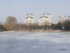 -泰丰公园