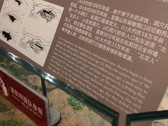 -北京周口店北京人遗址博物馆