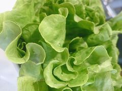 -古乐牛香·鲜牛肉牛杂火锅(吴江三里桥运东商业广场店)