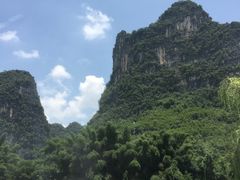-东莞植物园
