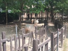 -南昌动物园