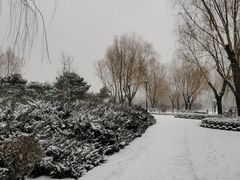 -莲花池公园