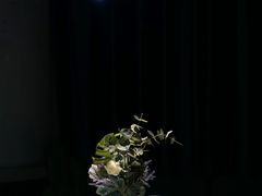 -Wei菋·Le Bistrot