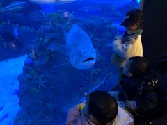 -成都浩海立方海洋公园