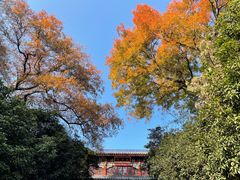 -灵谷景区