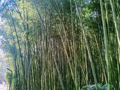 -苏州河梦清园环保主题公园