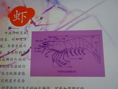 -上海海洋大学鱼文化博物馆(军工路校区)