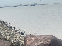 -上海滨江森林公园