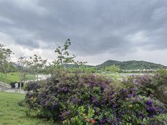 -风云岭森林公园