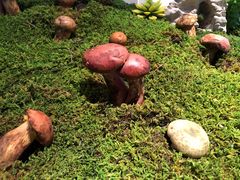 -外滩·云南人家(昆明旗舰店)