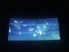 -AMG海上明珠影城(上海环球港RealDCinema店)