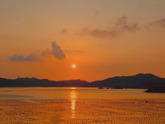 -枸杞岛