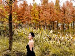 -白鹭湾湿地公园