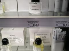 -谢列梅捷沃国际机场