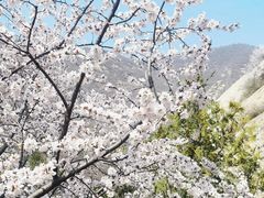 -古崖居风景名胜区