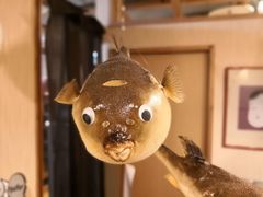 -玄品河豚(那覇國際通里之関)