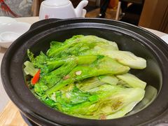 虾酱啫生菜煲-尚一汤·粤菜海鲜(环球港店)