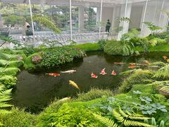 -罗红摄影艺术馆