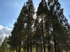 -东钱湖旅游度假区