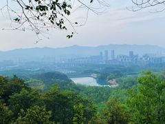 -大奇山国家森林公园