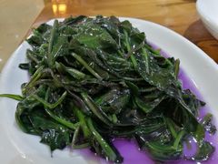 野生观音菜-下梅人家土菜馆(历史文化餐厅度假区店)