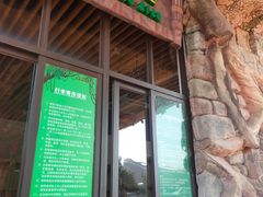 -美的鹭湖探索王国