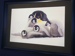 -罗红摄影艺术馆