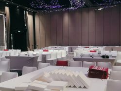 -杭州临平万丽酒店·万丽厅·宴会厅