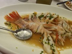 -骏莱海鲜鱼港(五角场店)
