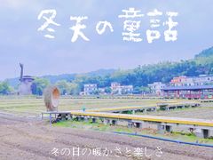 -红山村