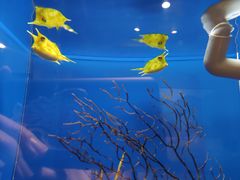 -西海国立公园九十九岛水族馆