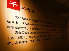 -宣化博物馆