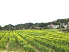 -红山村