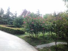 -康庄公园