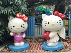 -晓港公园