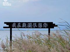 -观澜小洱海
