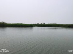 -太湖湖滨国家湿地公园-停车场
