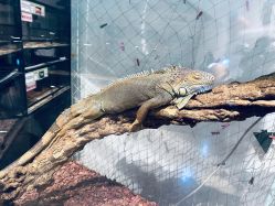 -Zoolung Zoolung动物主题公园(海信广场店)