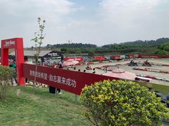 -空港花田景区