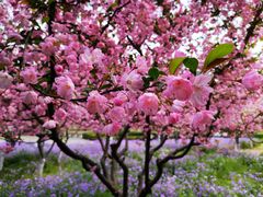 -白塘生态植物园