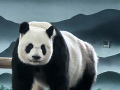 -柳州市动物园