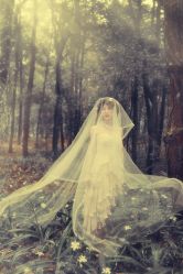 -费拉摄影(天廊T66店)