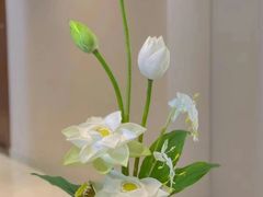 -北方家宴(番禺永旺店)