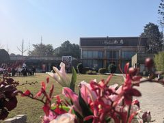 -洪湖家庭农场·团建·露营·会议