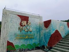 -广东惠东海龟国家级自然保护区