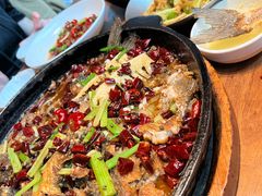 -老板恋上鱼(恒隆广场店)