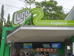 -圣淘沙天际线斜坡滑车