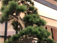 -径山十八道·风味民间菜(杭州总店)